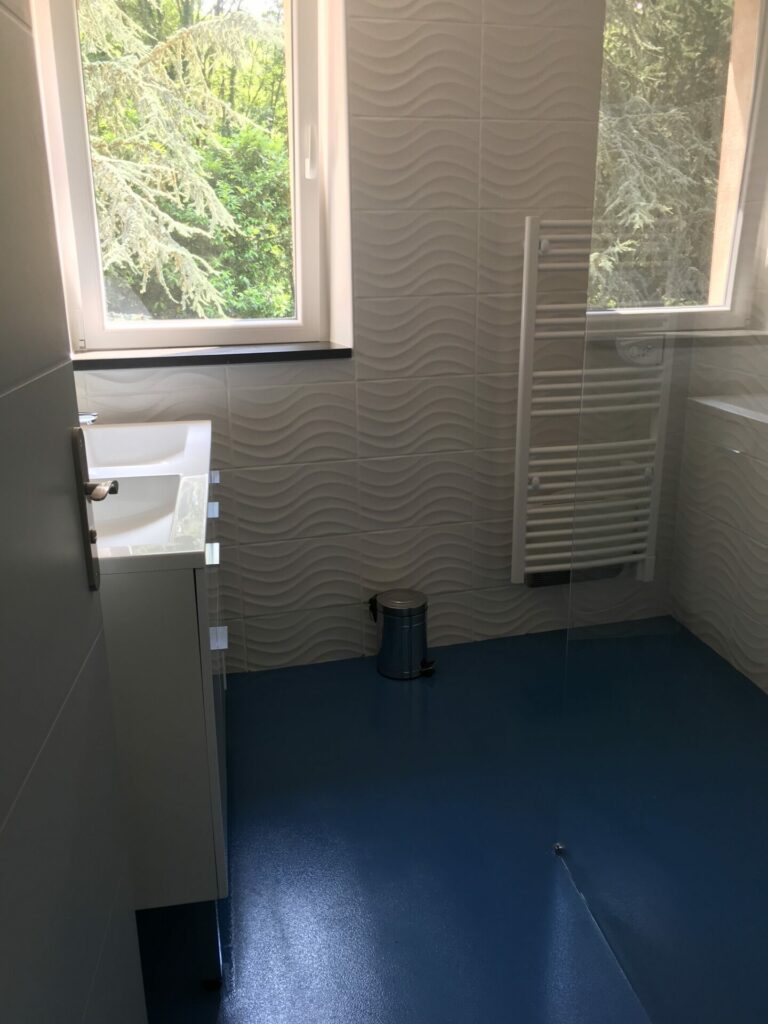 grange divisée en 3 appartements. vue salle de bain